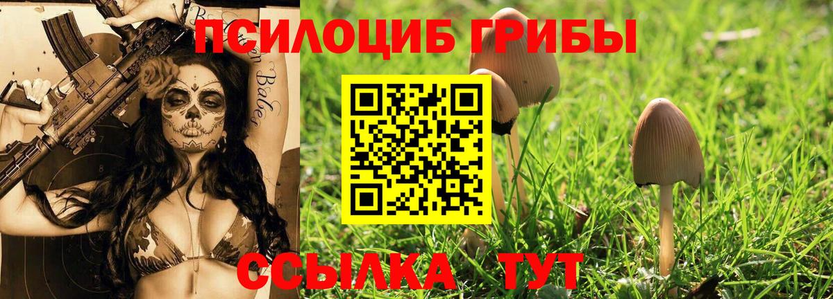 Галлюциногенные грибы Psilocybine cubensis Выборг
